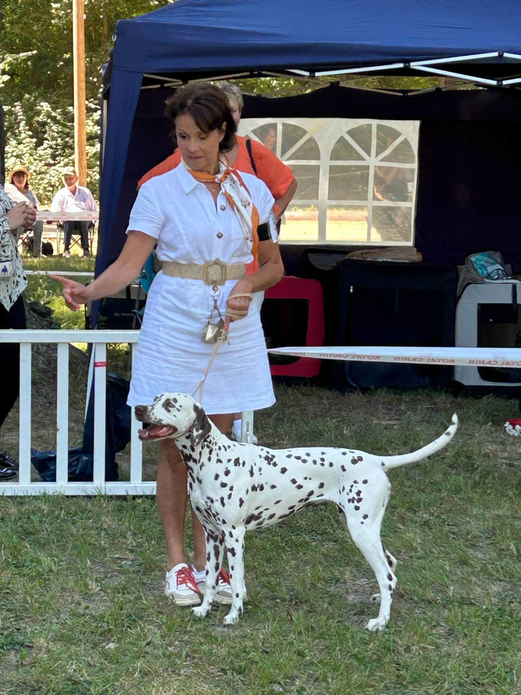 TESS 1ère à l'Exposition Canine de la Roque d'Anthéron