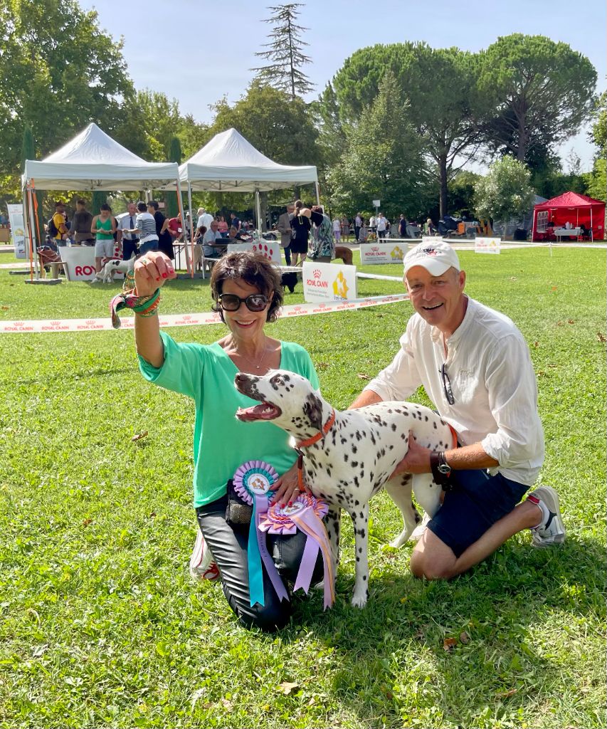 TESS en Exposition Canine